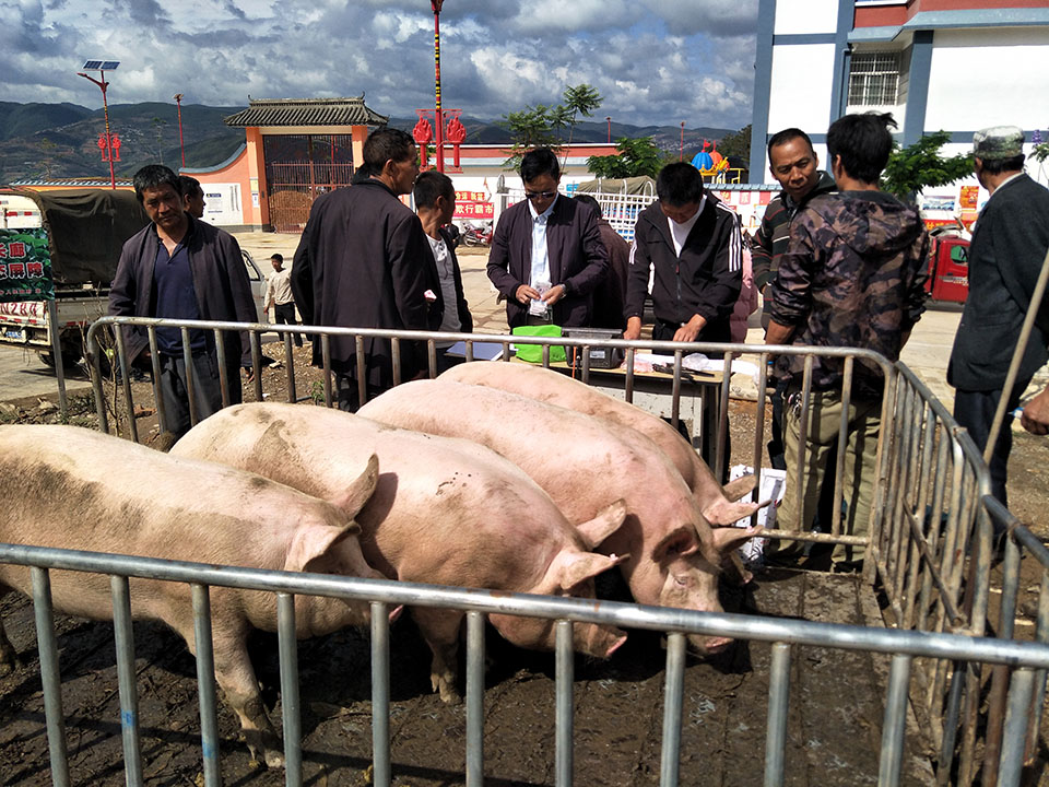 29e3d175b2864f28b67bf46f04c25959.jpg 29e3d175b2864f28b67bf46f04c25959.jpg