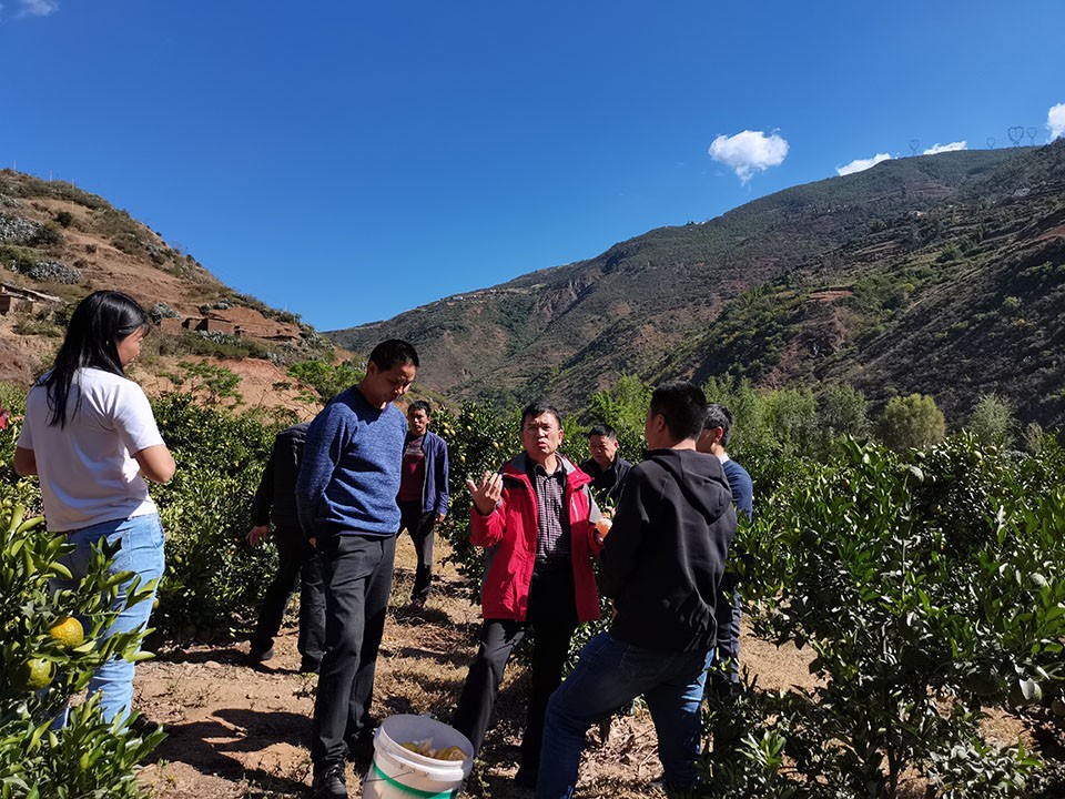 0b5ae772c9c54e9f8d17623bef24dce3.jpg 0b5ae772c9c54e9f8d17623bef24dce3.jpg