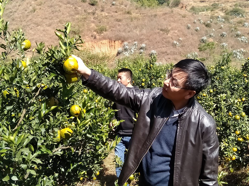 0d13d71a318846098eb778ce3b5aee5a.jpg 0d13d71a318846098eb778ce3b5aee5a.jpg