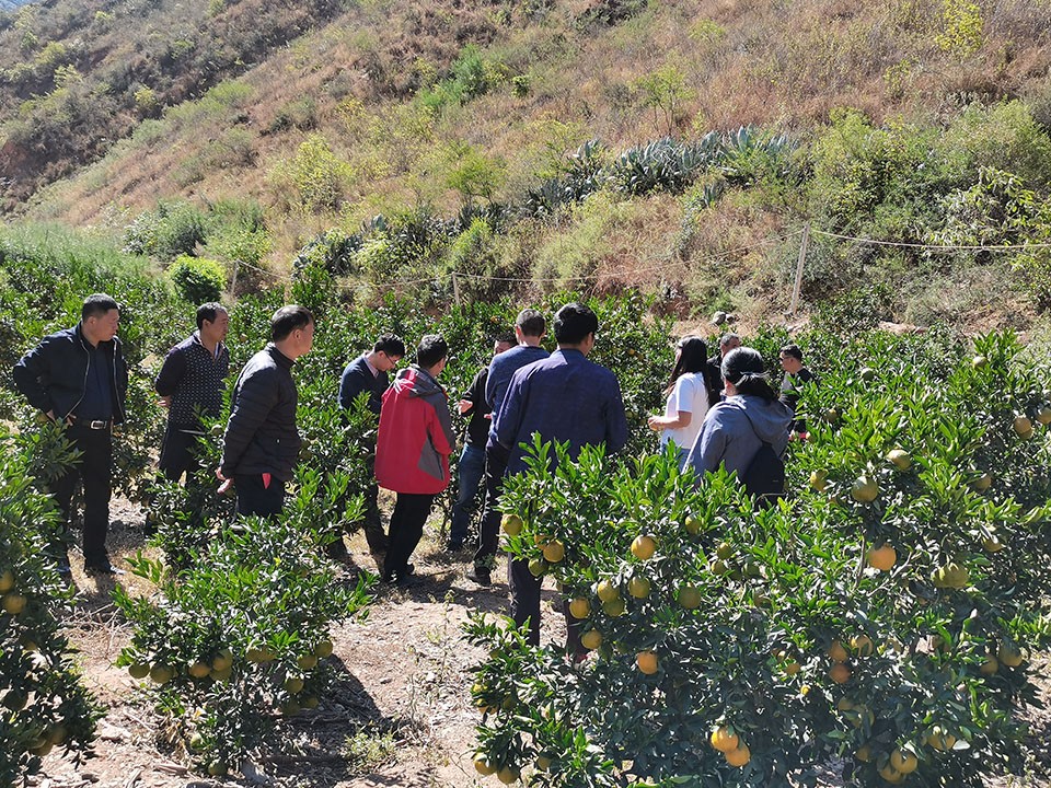 4e4c26fa22a24c0a9caa9e752737bdd4.jpg 4e4c26fa22a24c0a9caa9e752737bdd4.jpg