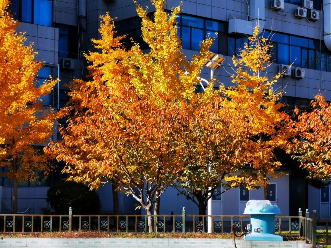 f374e815ec5445108a6b42e4a7b4e5e0.jpg f374e815ec5445108a6b42e4a7b4e5e0.jpg