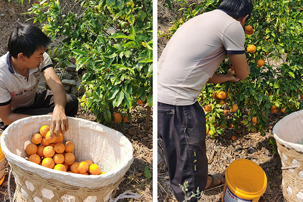 ac7ed00c351b4da1a060ee3d4f61f4c9.png ac7ed00c351b4da1a060ee3d4f61f4c9.png