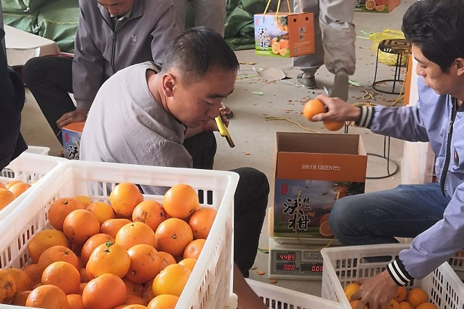 bc278e261e4b442fbc817649ce8ef528.jpg bc278e261e4b442fbc817649ce8ef528.jpg