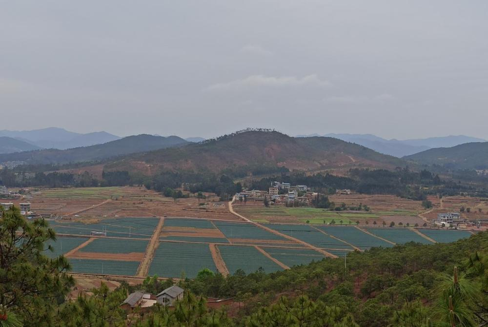 5e065f39761b407e8848285a767949ef.png 5e065f39761b407e8848285a767949ef.png