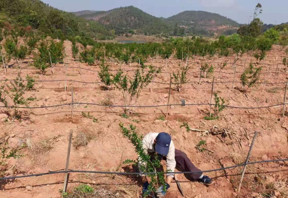 7598ca2e828646219554be7dc74583a4.png 7598ca2e828646219554be7dc74583a4.png