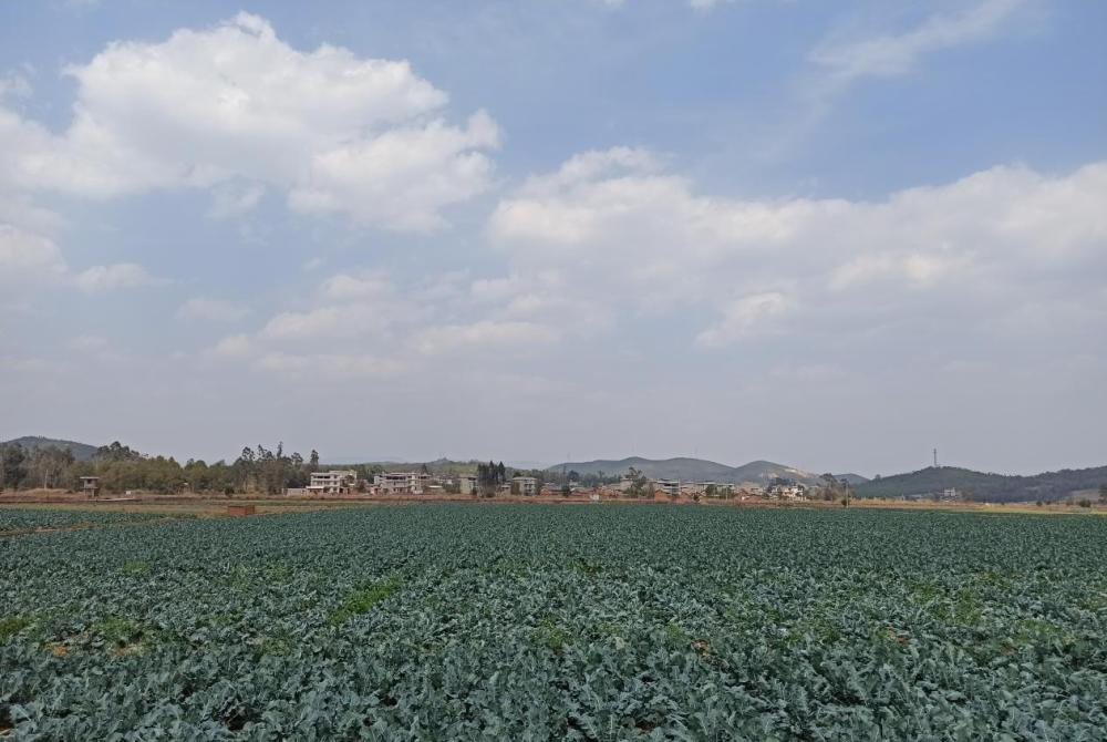 88f767d699fa48a391bd20a61b7418d9.png 88f767d699fa48a391bd20a61b7418d9.png