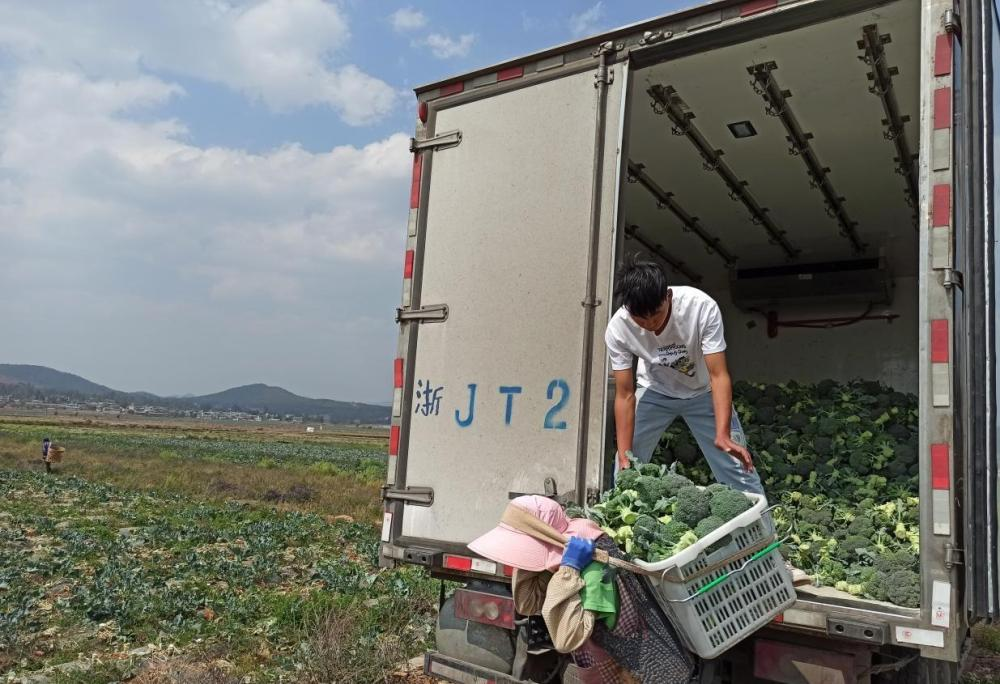 f242e30b129a493f9abf39b3e3e64f59.png f242e30b129a493f9abf39b3e3e64f59.png