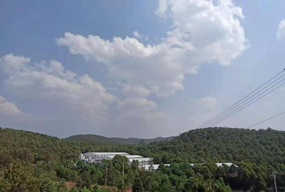 fd6b99b9d44e4bec9f67a46d598ffeb9.png fd6b99b9d44e4bec9f67a46d598ffeb9.png